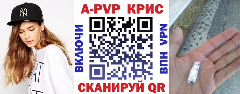 A-PVP СК  Череповец 
