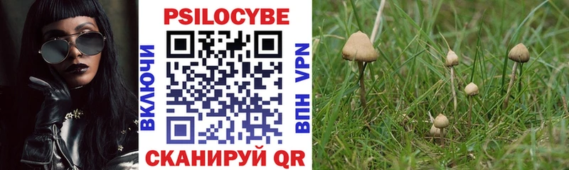 Галлюциногенные грибы прущие грибы  Череповец 